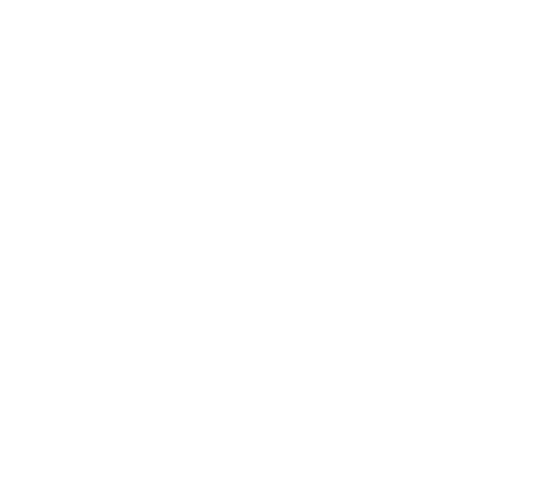 Grupo Ropasa